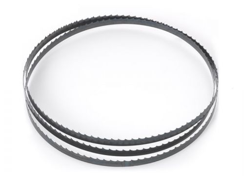 Полотно пильное RP по дереву 1790 мм (3/8'' х 4 TPI ), для BS250/Sabre-250 изображение